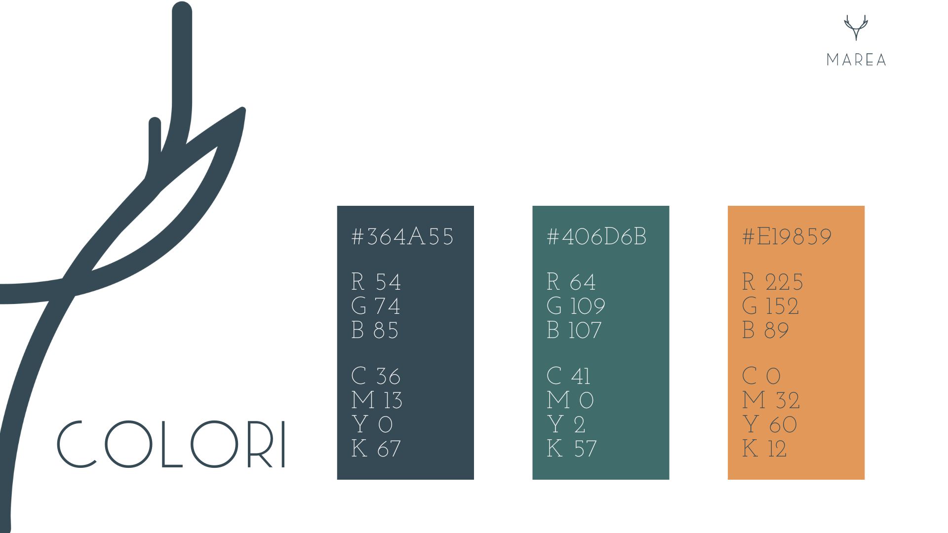 creazione brand identity